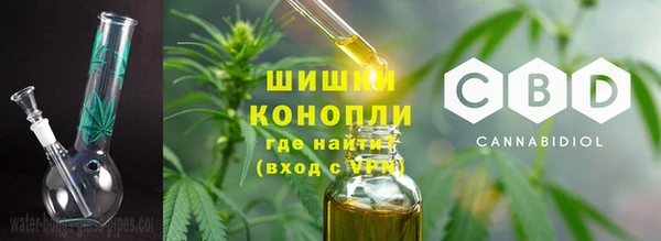 гидра Алексеевка