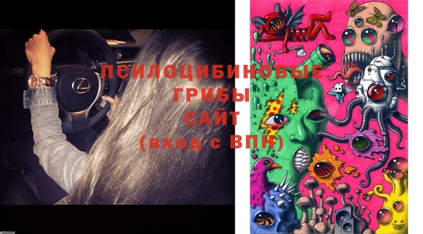 мдпв Нягань