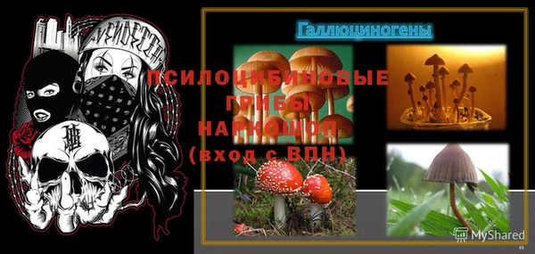 дурь Алзамай